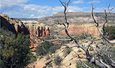 USA-New Mexico-New Mexico Hiker